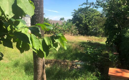 Land for sale in Nai Harn Baan Bua Phuket